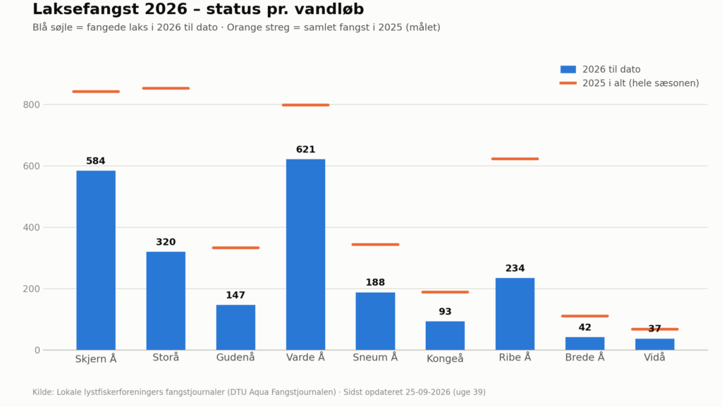 graf med søjler der angiver antal fangede laks i udvalgte danske åer